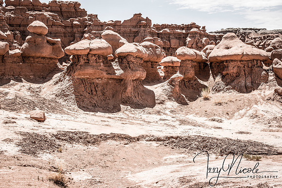 mushroom valley watermarked