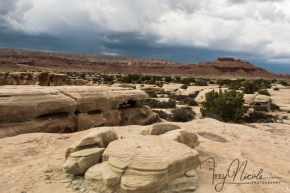 in the distance watermarked