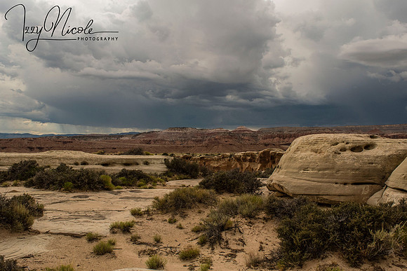 landscape watermarked