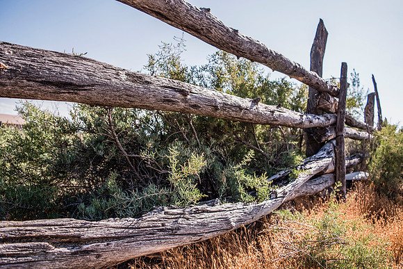 fence
