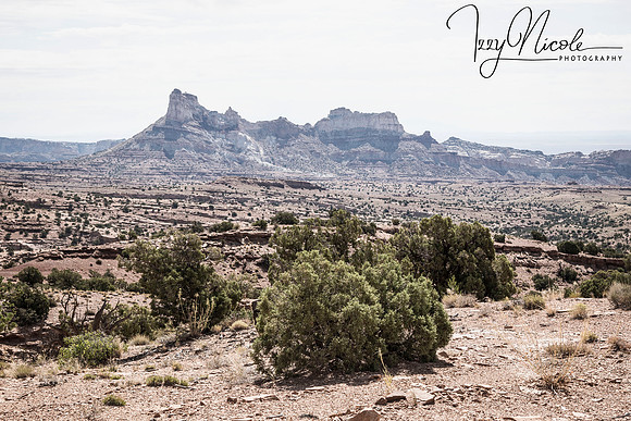 landscape intense watermarked