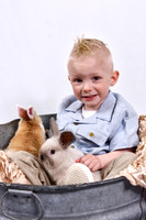 Bunny mini - Ford, Tate, Tillie