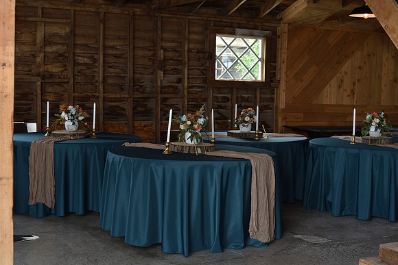 DSC_0428