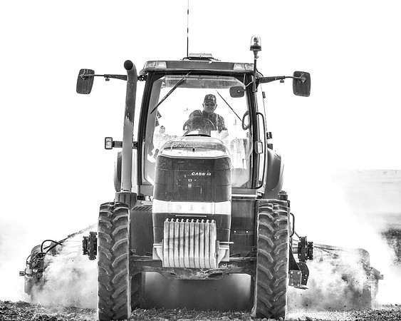 DSC_6483 edited bw