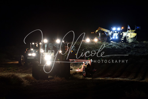 DSC_2154 edited