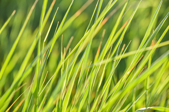 DSC_9289 edited