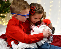 Jessalyn Christmas Mini