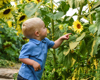 DSC_6282 edited