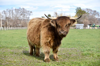DSC_2615 edited