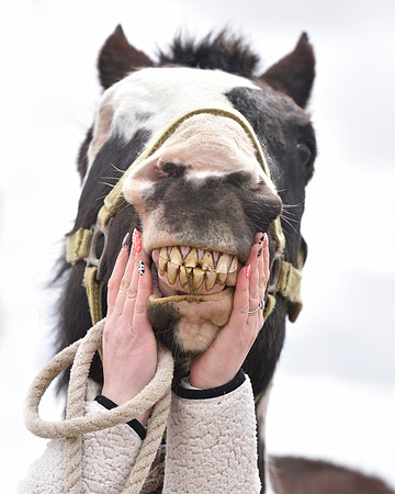 DSC_3479 edited