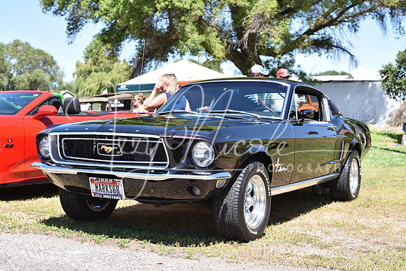 DSC_9154