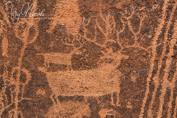 deer carving watermarked
