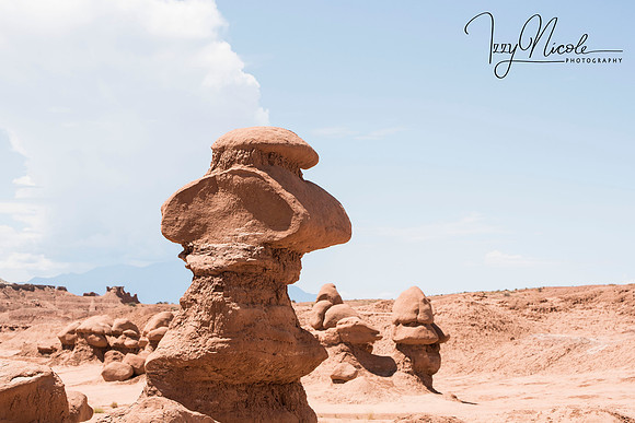single mushroom rock watermarked