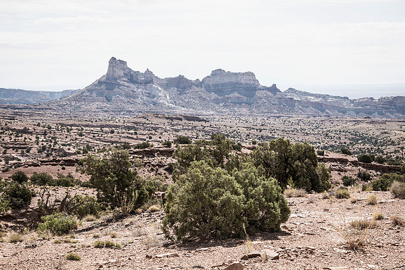 landscape intense