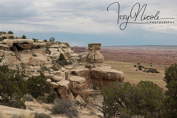 rocked canyon watermarked