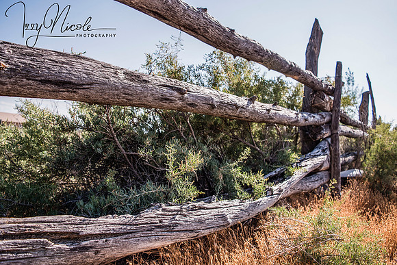 fence watermarked