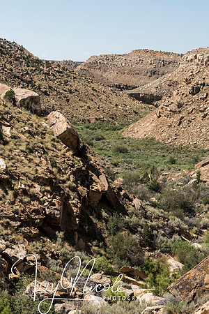 canyon 1 watermarked