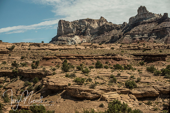 rocky watermarked