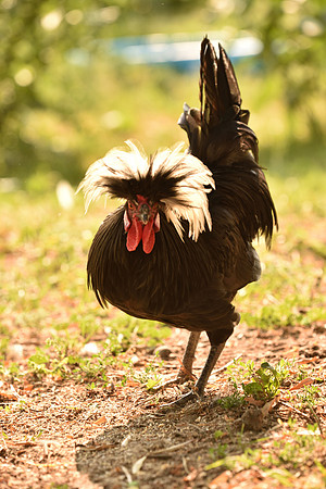 DSC_7658