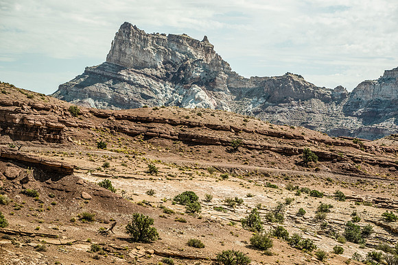 rocky mountain