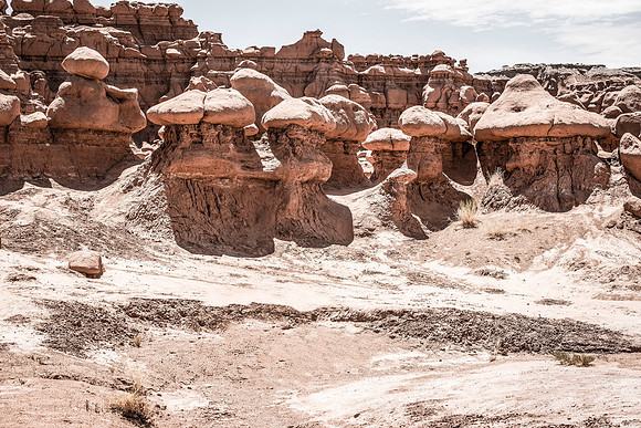 mushroom valley