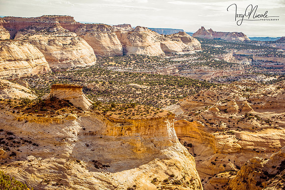 valley watermarked