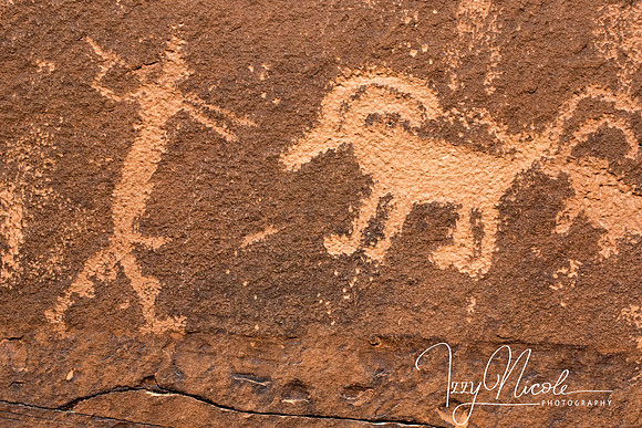 deer warrior watermarked